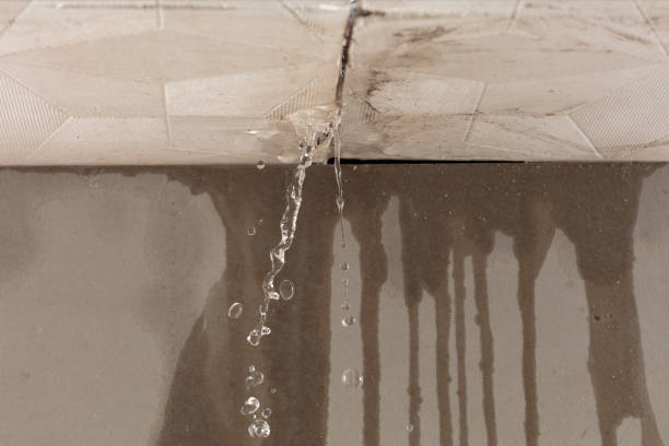Professional Sewage Cleanup technician working in Murdock, NE